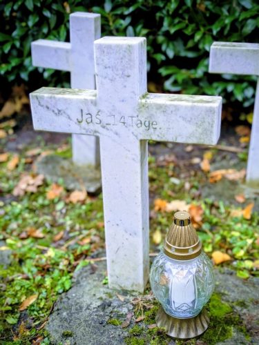 WhatsApp-Image-2025-11-08-at-20.17.34